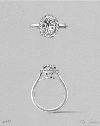 The Carina Setting