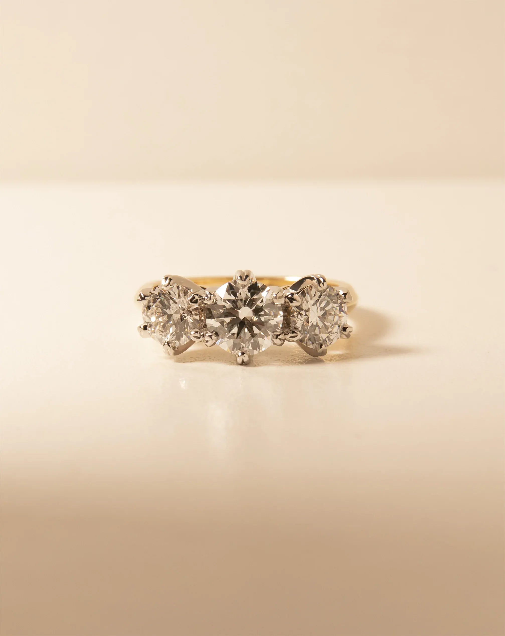 The Asellus Setting - Ready to Gift